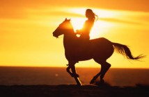 despedidas-girona-excursion-caballo